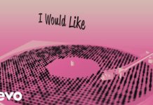 I Would Like – Zara Larsson