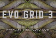 Spitfire Audio Evo Grid 3 – świeże spojrzenie na smyczki