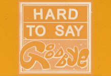 “Hard to Say Goodbye” – Washed Out
