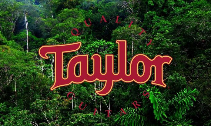 Taylor_Forest