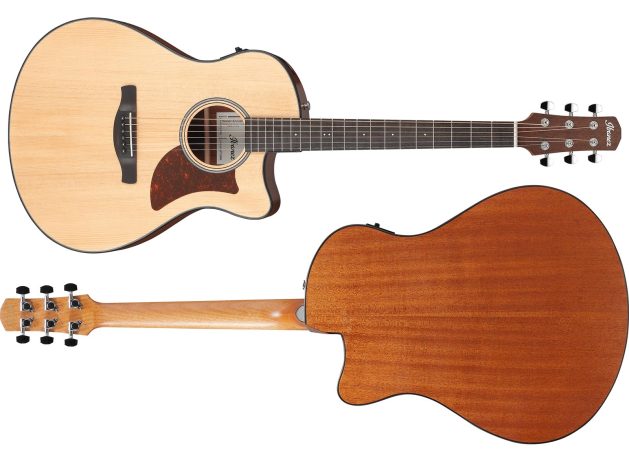 Ibanez-AAM50CE-OPN_all