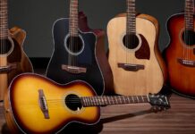 Ibanez 2025: Nowe modele gitar akustycznych na każdą kieszeń