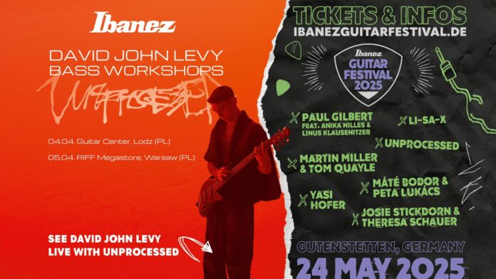 david john levy bass workshop ibanez