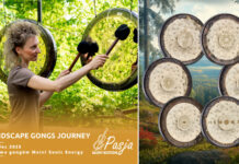 Dźwięki, które leczą – rusza Soundscape Gongs Journey Soundscape-Gongs-Journey-Pasja_uptone