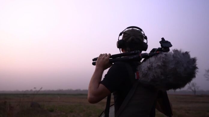 ZOOM CREATOR HISTORIE - Axel Drioli - Sounding Wild