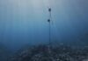 Sennheiser pod wodą. Tak powstały przestrzenne nagrania śpiewu humbaków Hawaii-Hydro-Drop-Rigs_Sennheiser