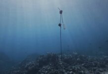 Sennheiser pod wodą. Tak powstały przestrzenne nagrania śpiewu humbaków Hawaii-Hydro-Drop-Rigs_Sennheiser