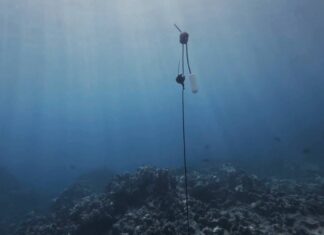 Sennheiser pod wodą. Tak powstały przestrzenne nagrania śpiewu humbaków Hawaii-Hydro-Drop-Rigs_Sennheiser