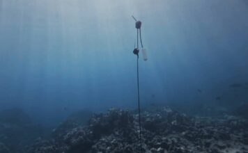Sennheiser pod wodą. Tak powstały przestrzenne nagrania śpiewu humbaków Hawaii-Hydro-Drop-Rigs_Sennheiser